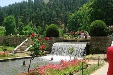 Kashmir Tour Package From Surat